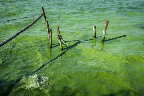 水體污染凈化過程是怎樣的？深圳污水檢測機構